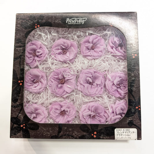 EarthMatters 0241-4-440瑪麗安娜玫瑰永生花花材