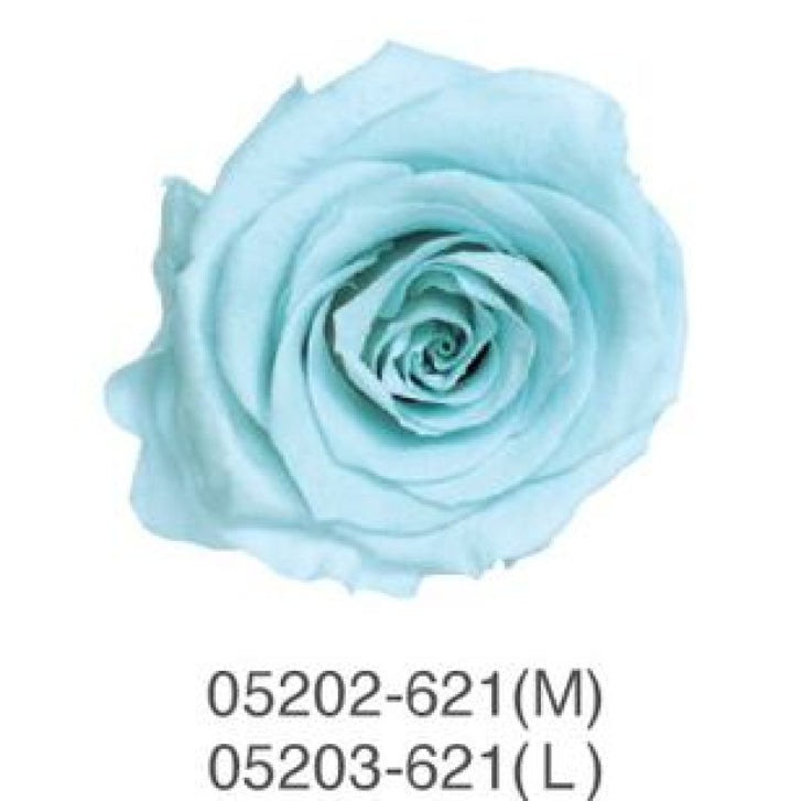 EarthMatters 0520-2-621玫瑰永生花花材