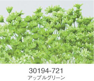 EarthMatters 30194-721 星花永生花材