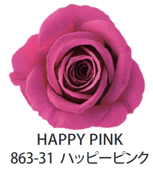 Primavera 86331玫瑰永生花花材