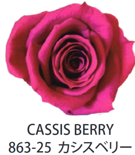 Primavera 86325玫瑰永生花花材