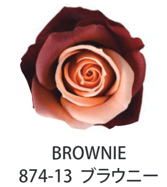 Primavera 87413玫瑰永生花花材