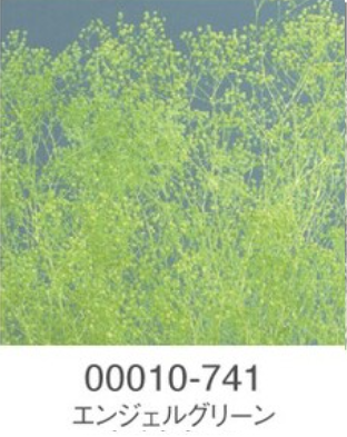 EarthMatters 00010-741迷你滿天星永生花花材