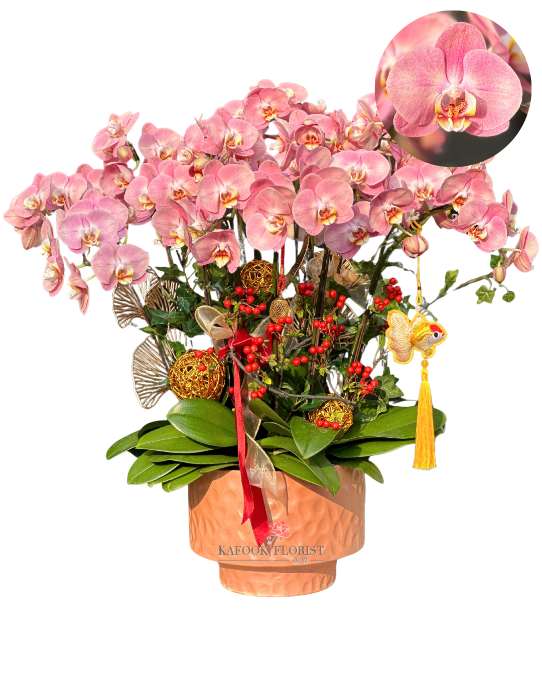 CO 2007 金車蜜桃-中蝴蝶蘭