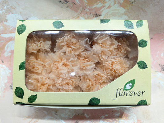 Florever FL1200-04迷你康乃馨永生花花材