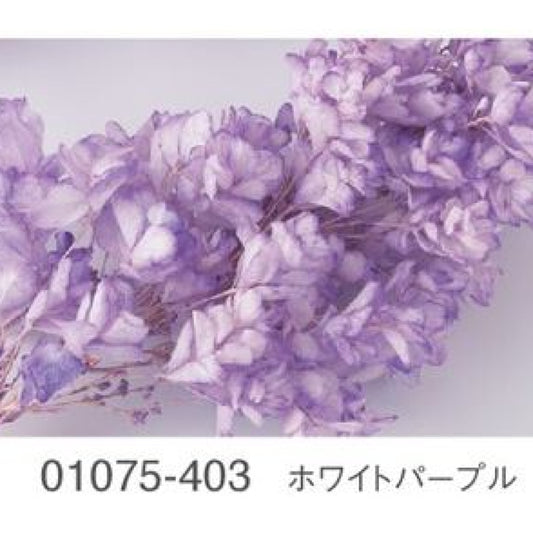 EarthMatters 0107-5-403繡球花永生花花材