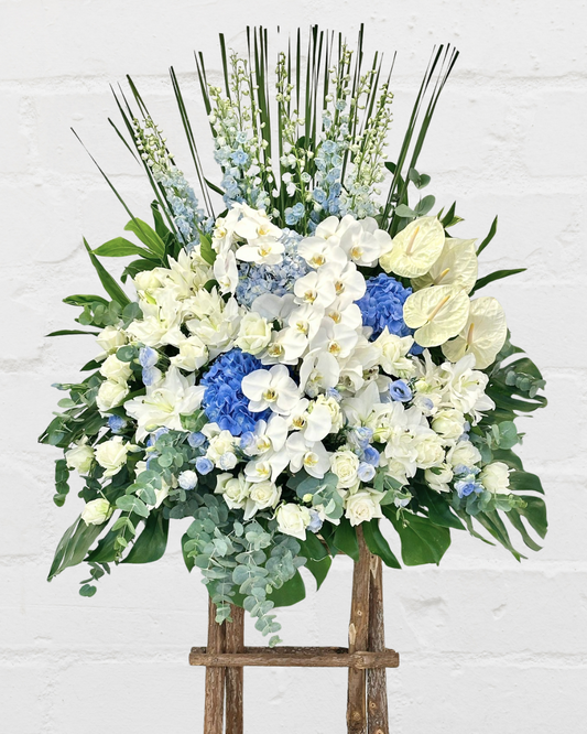 FF 2010 蝴蝶蘭悼念花籃