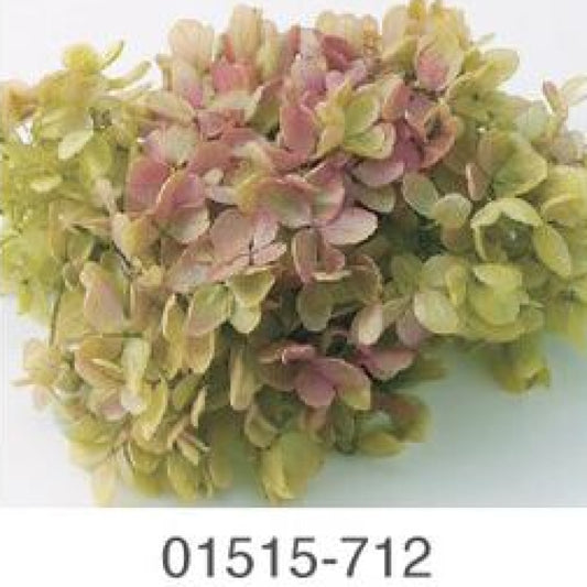 EarthMatters 0151-5-712繡球花永生花花材