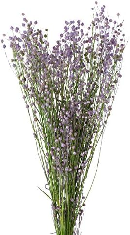 EarthMatters 35020-417迷你林花永生花材