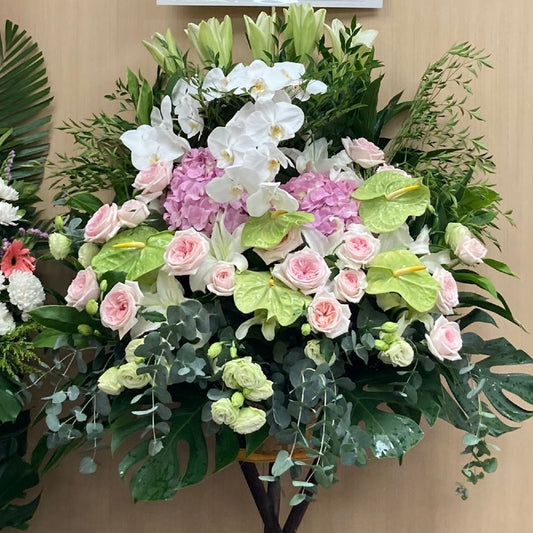 FF 1011 蝴蝶蘭悼念花籃