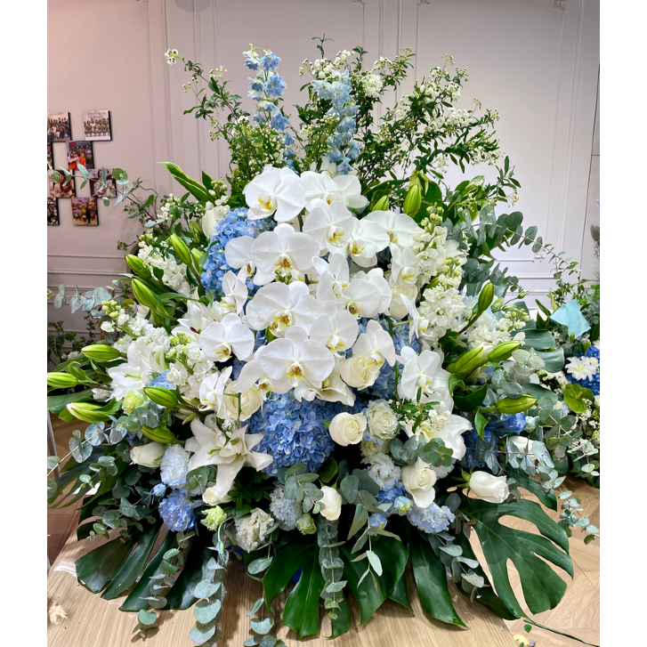 FF 1020 蝴蝶蘭悼念花籃