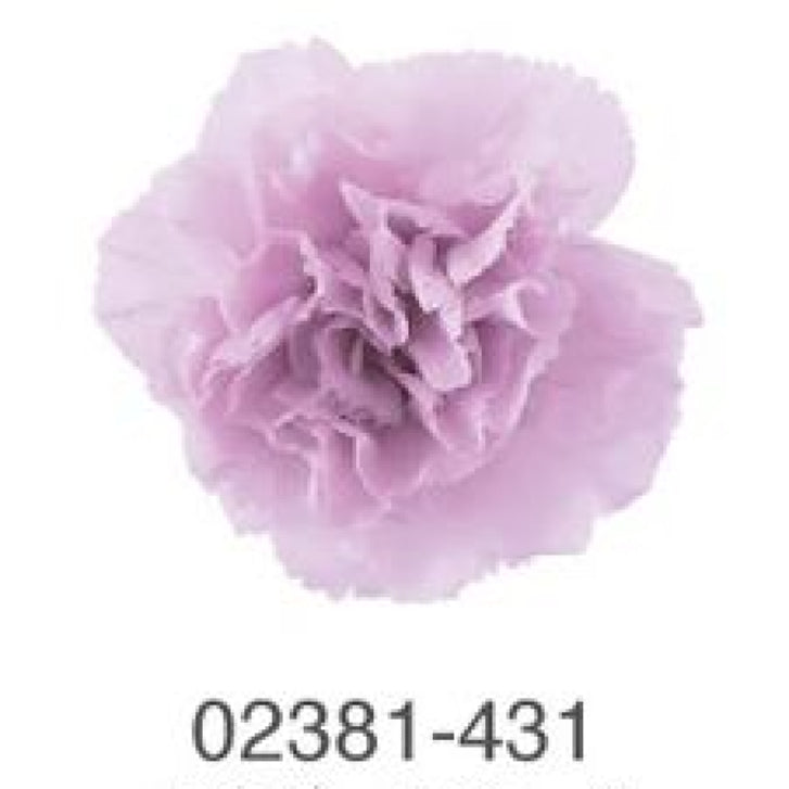 EarthMatters 0238-1-431迷你康乃馨永生花花材