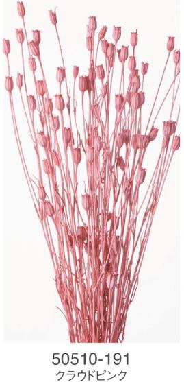 EarthMatters 50510-191風鈴花永生花材