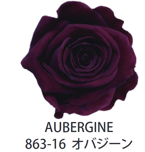Primavera 86316玫瑰永生花花材