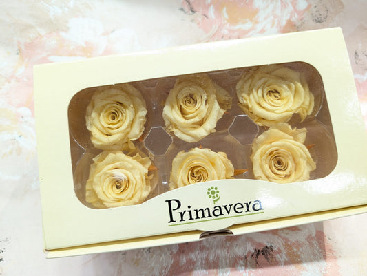 Primavera 86227玫瑰永生花花材