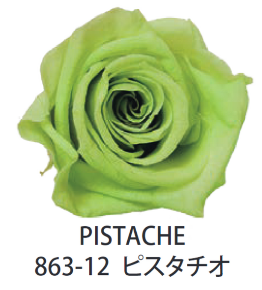 Primavera 86312玫瑰永生花花材